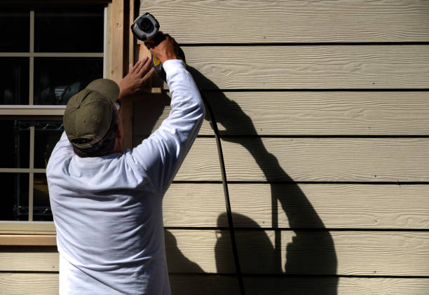 Best Brick Veneer Siding  in Homeland, GA