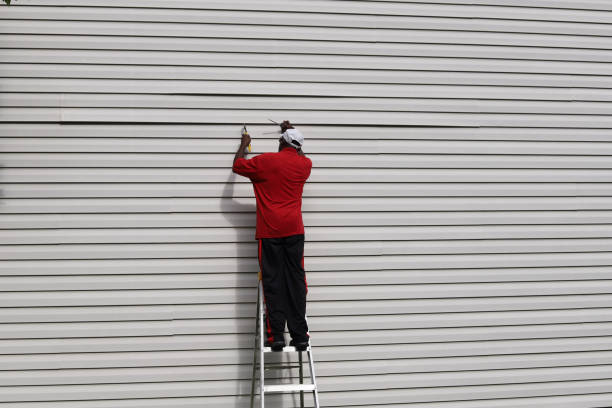 Best Siding Removal and Disposal  in Homeland, GA